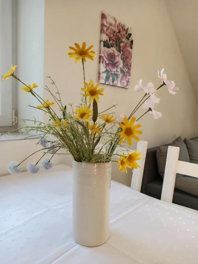 Apartmány Česká Kanada Český Rudolec Exterior foto