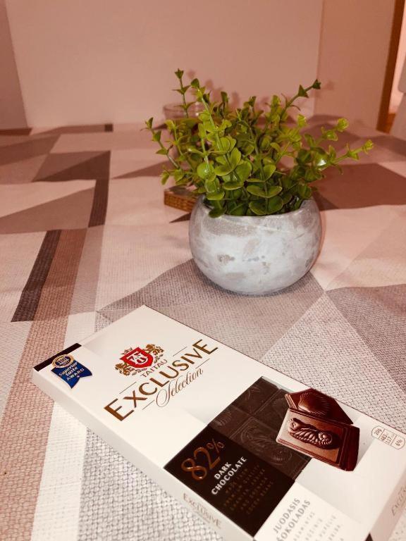 Apartmány Česká Kanada Český Rudolec Exterior foto